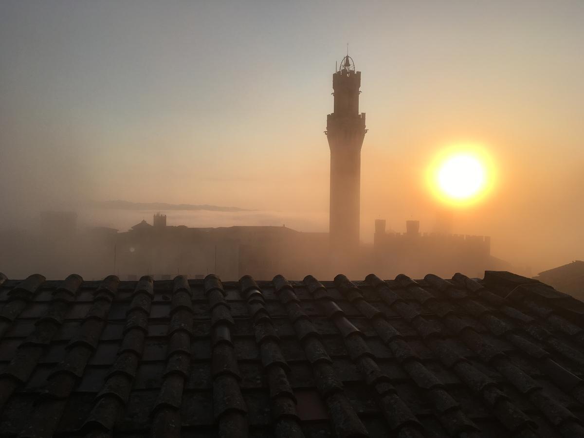 Appartamento Il NIDO Siena Esterno foto
